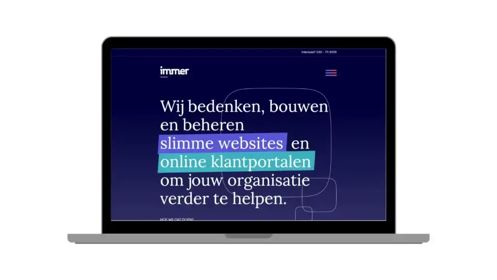 Immer's website