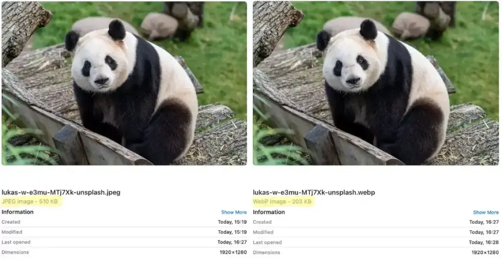 Tinify conversion of JPEG to WebP