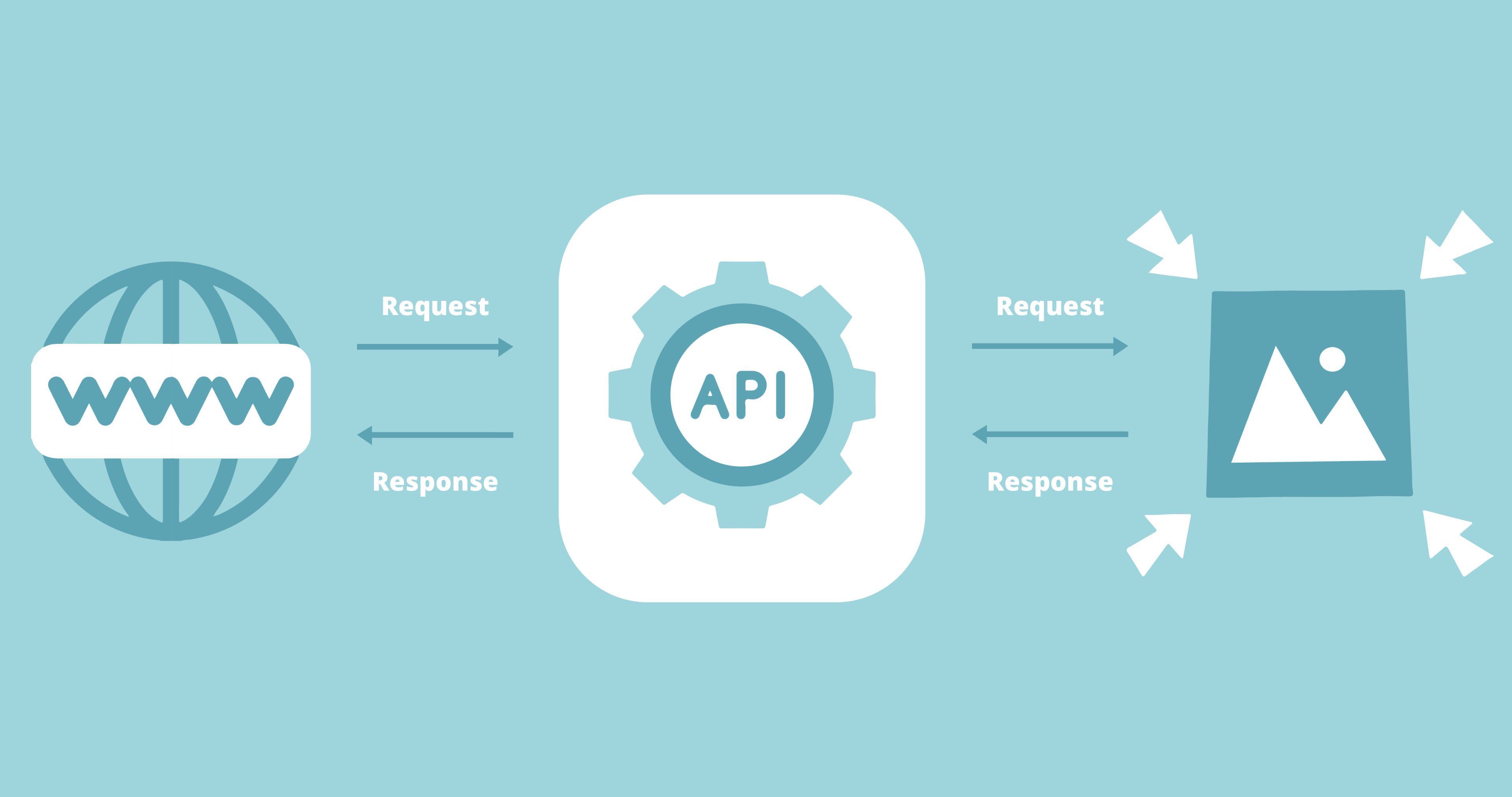 Developer API