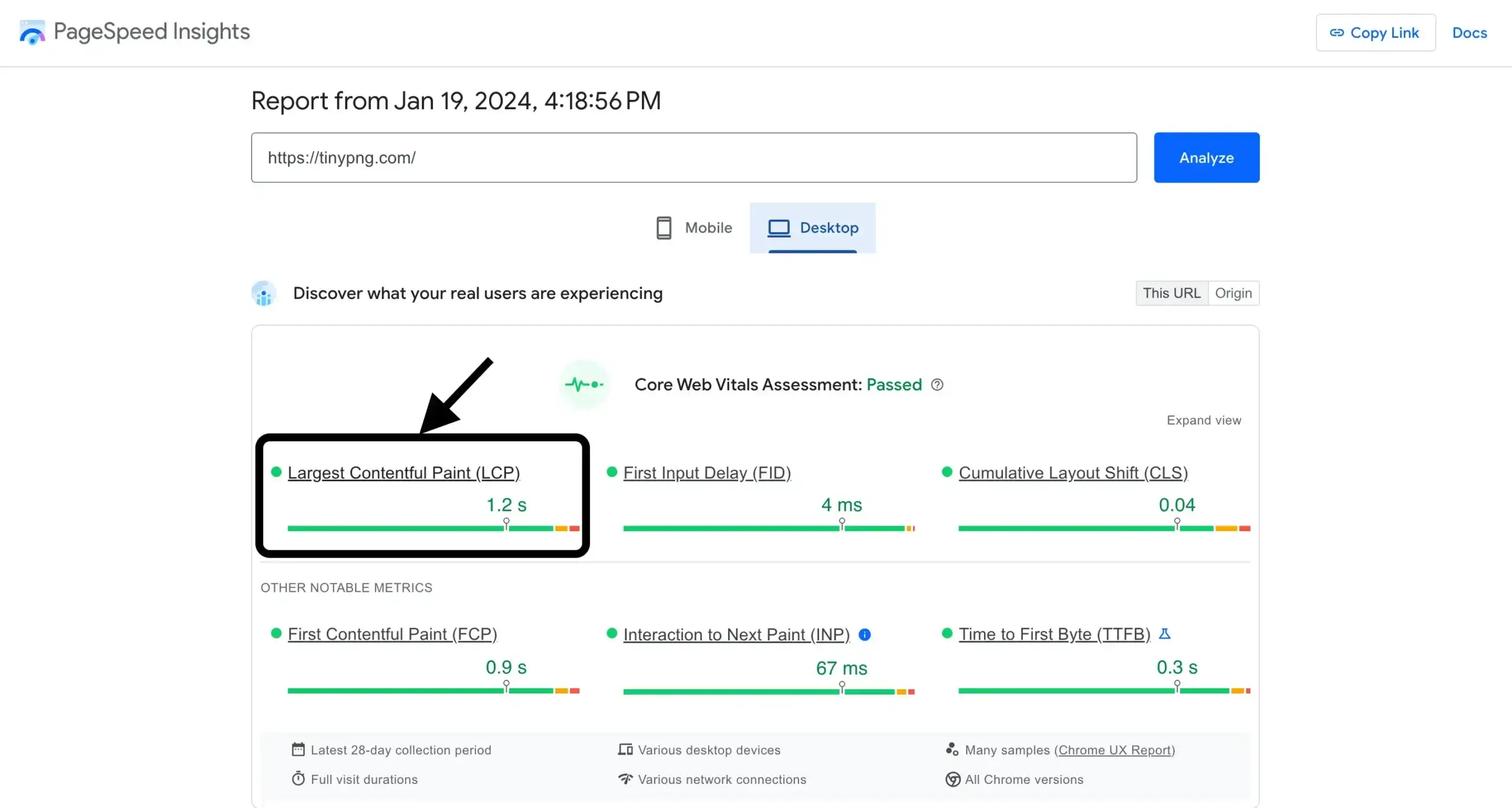 Pagespeed insights Largest contentful paint LCP