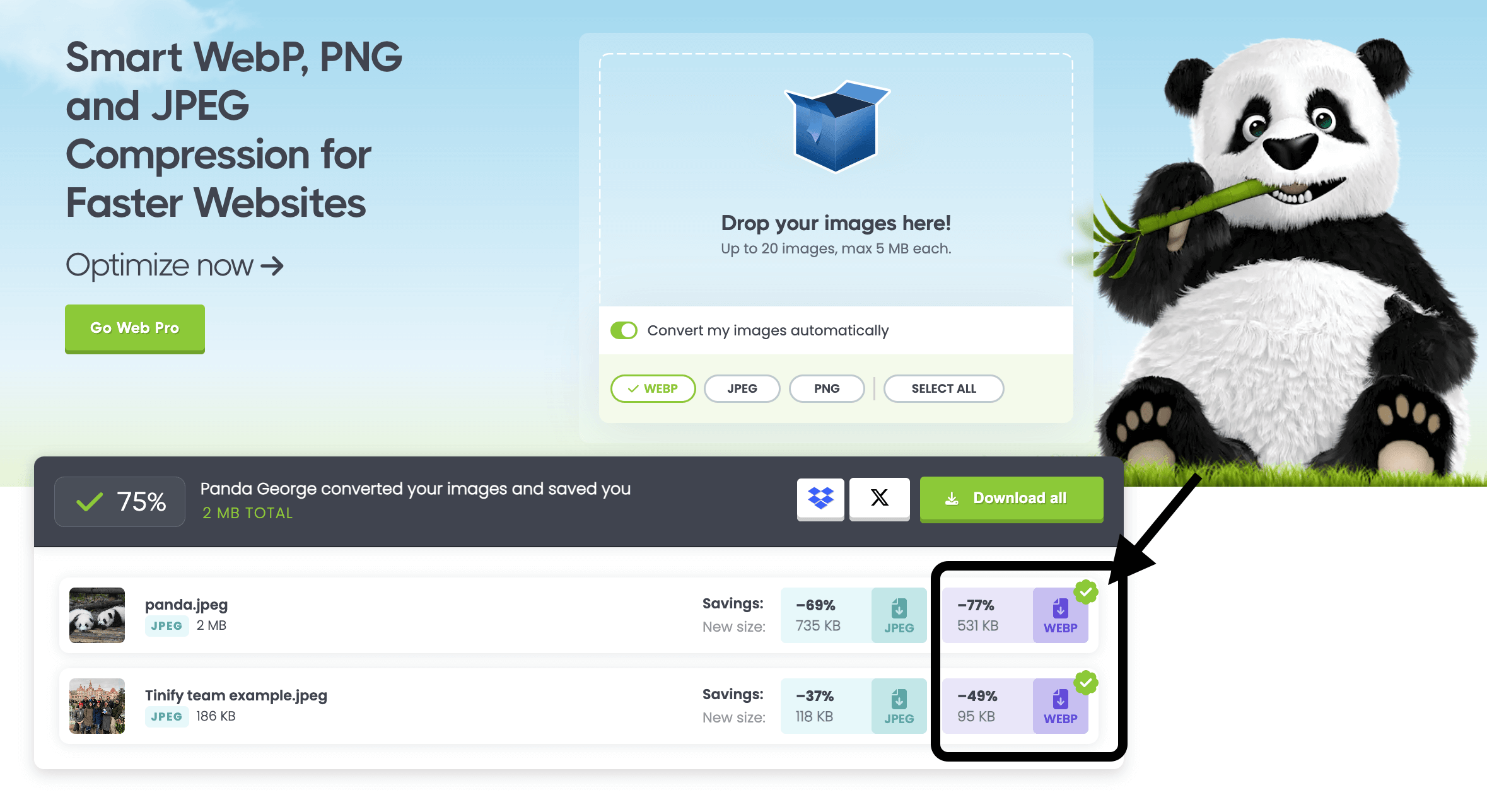 Tinify multi optimization