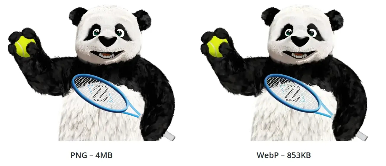 PNG to WebP comparison