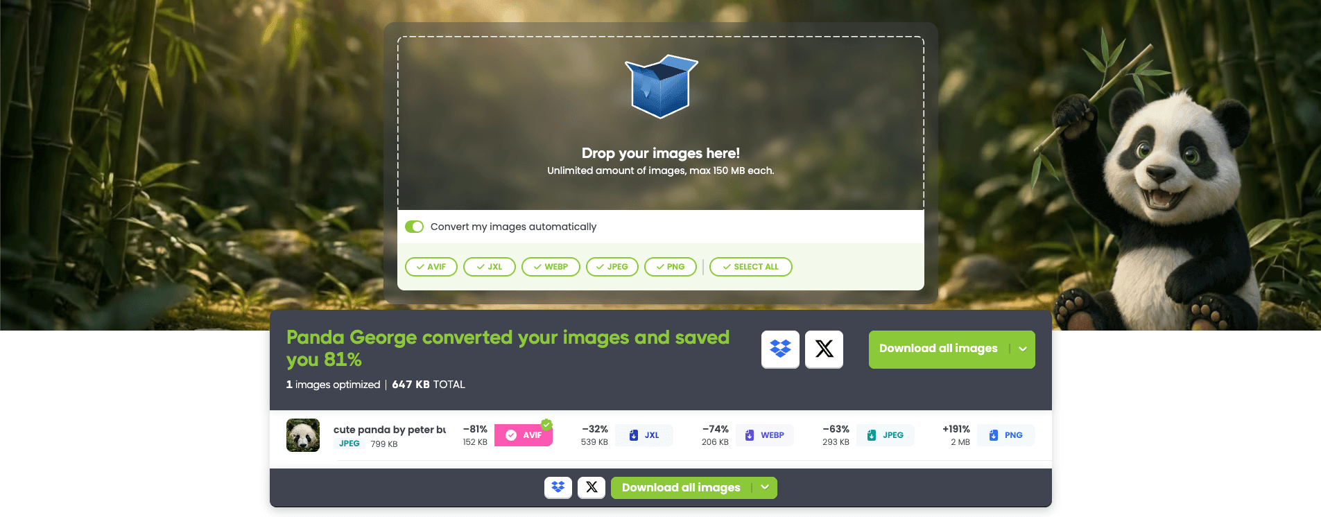 Panda George saves 81% on your image with Tinify’s smart lossy compression technique.