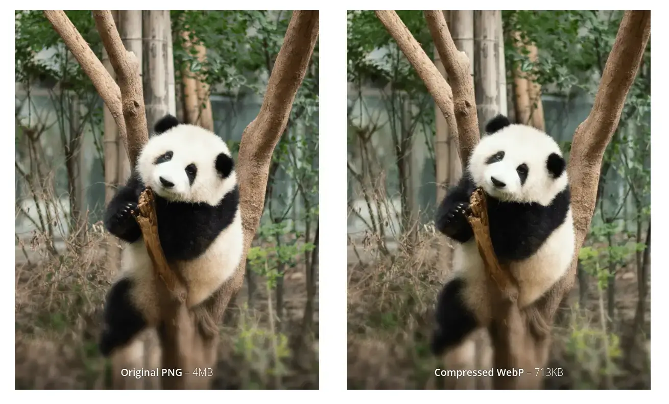 Tinify compression PNG to WebP