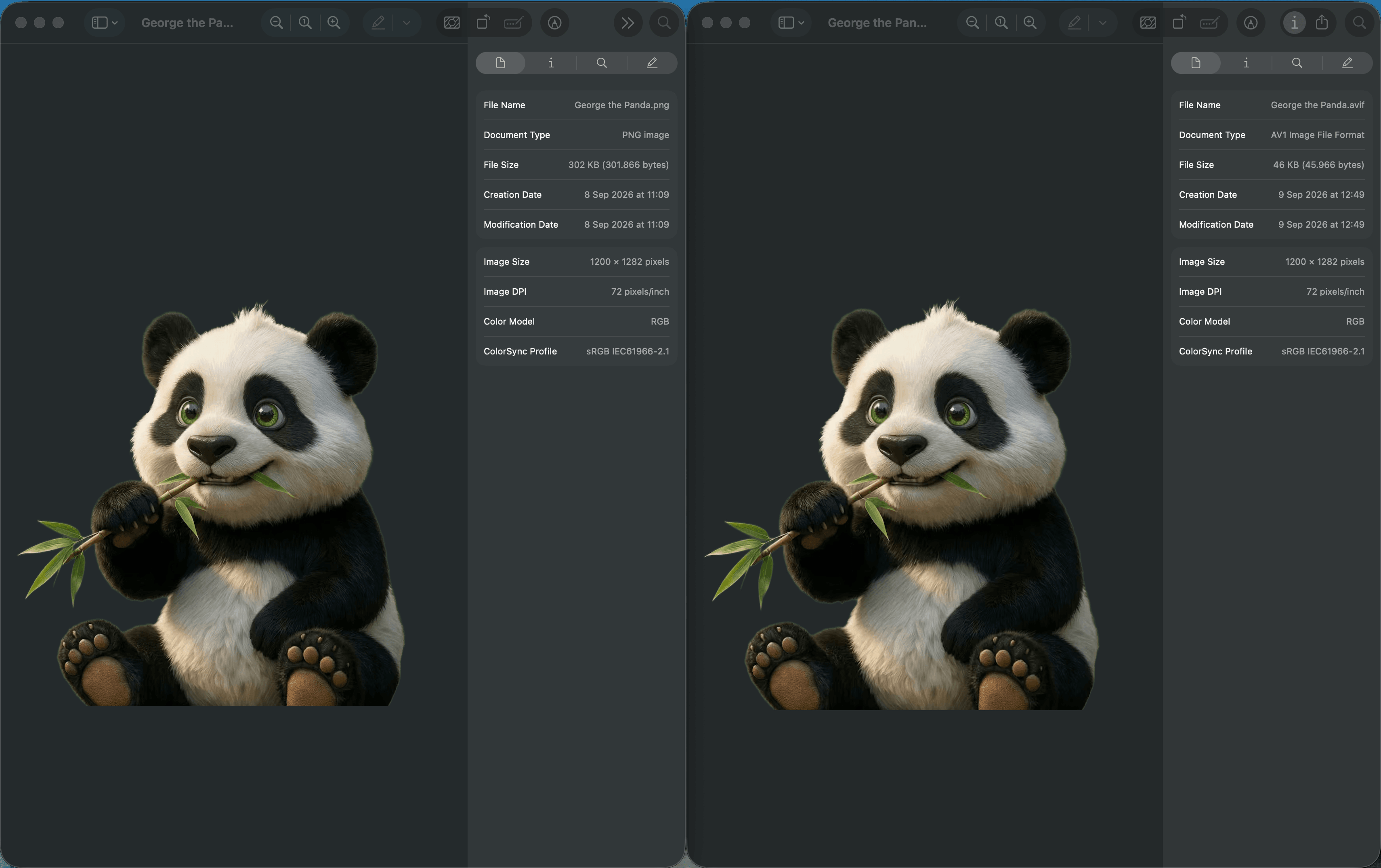 Converted PNG to AVIF, image comparison
