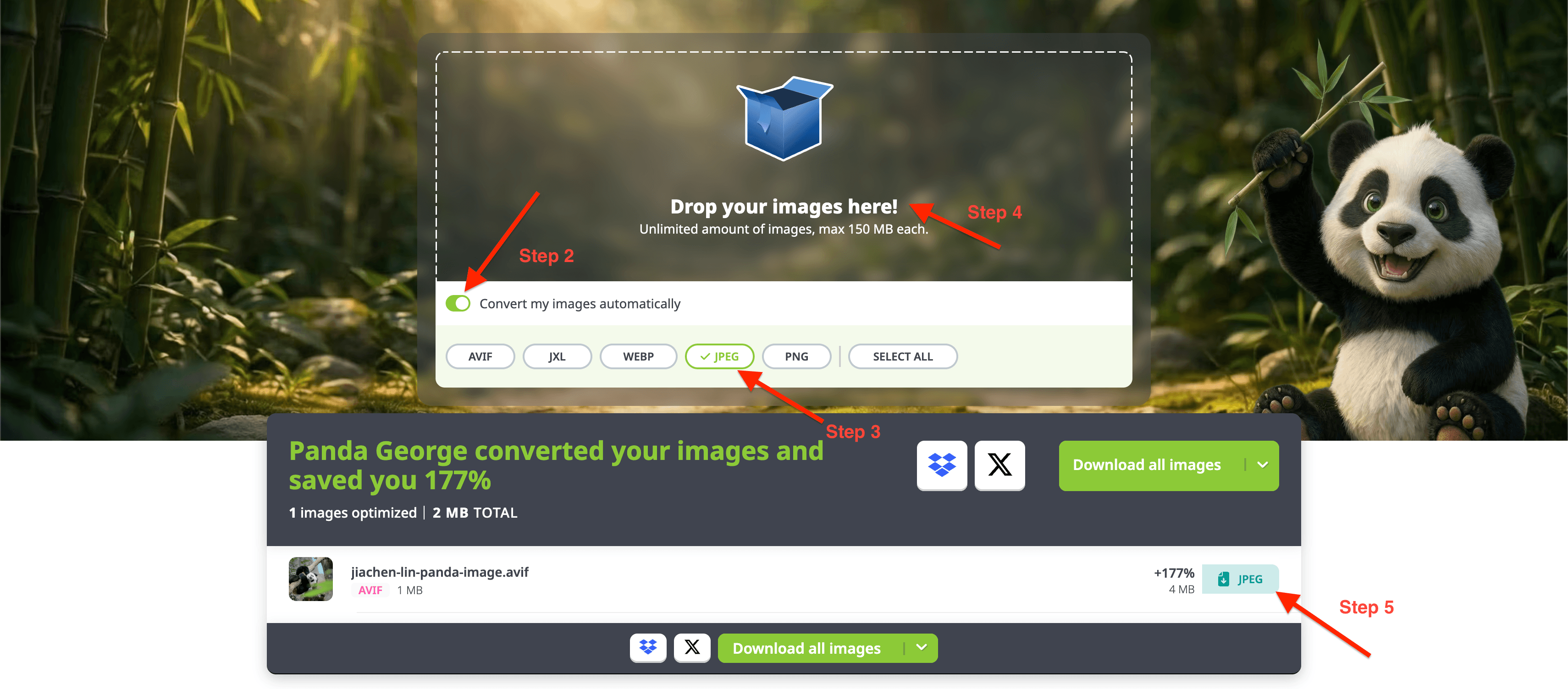 AVIF to JPG Conversion Tutorial