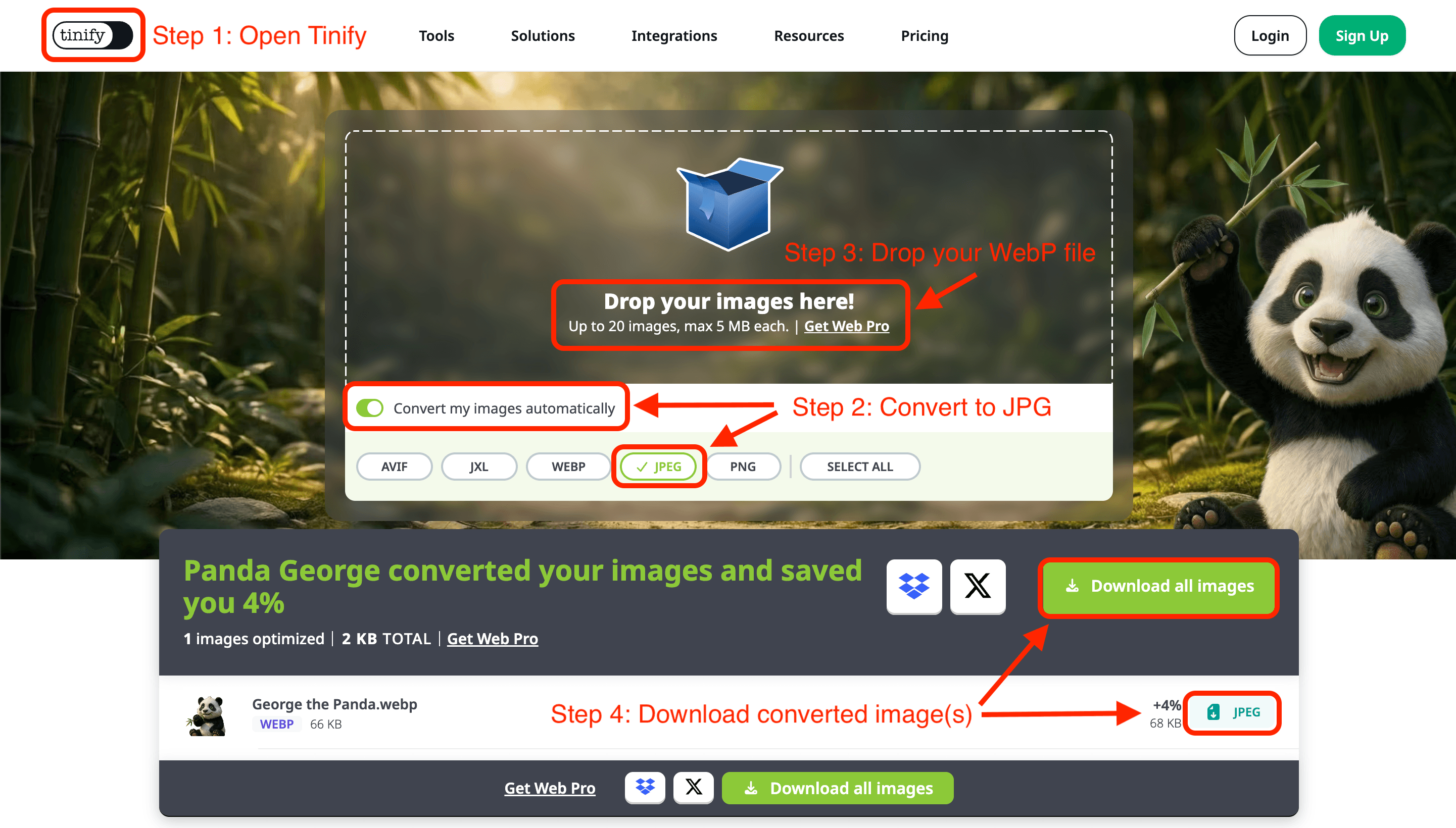 Demonstration of converting WebP to JPG files with Tinify